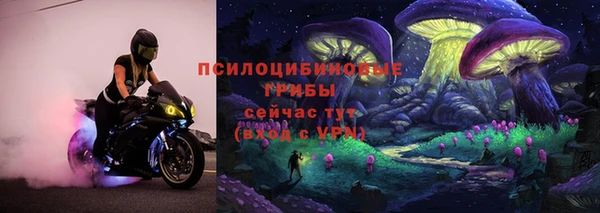 прущая мука Надым