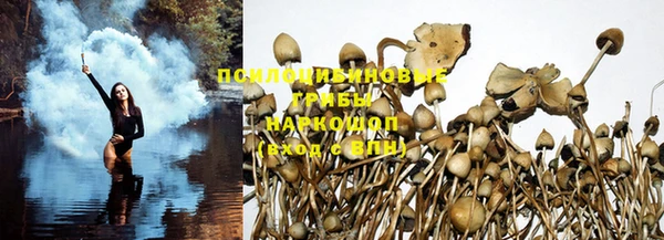 мдма Михайловск