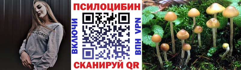 kraken ССЫЛКА  Великий Новгород  Галлюциногенные грибы GOLDEN TEACHER 